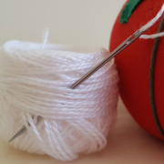Spiral Eye size 20 Chenille needle with size 5 Perle Cotton