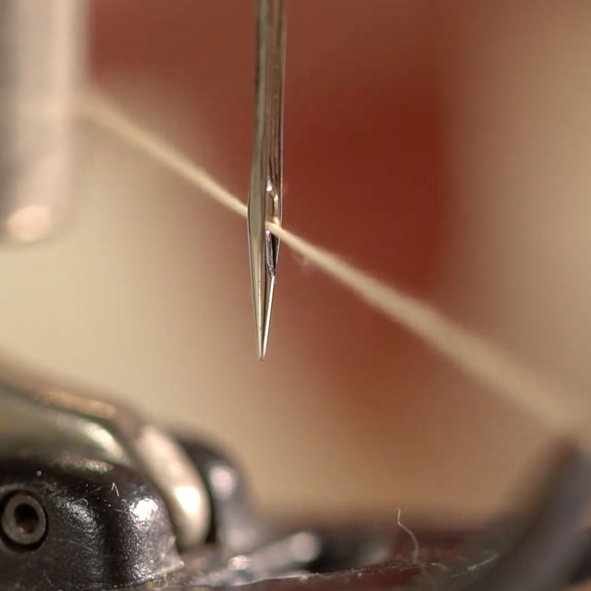 A machine needle threaded closeup